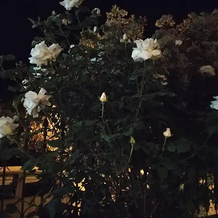 Luxus Maisonette With Garden And Loft,thessaloniki 别墅